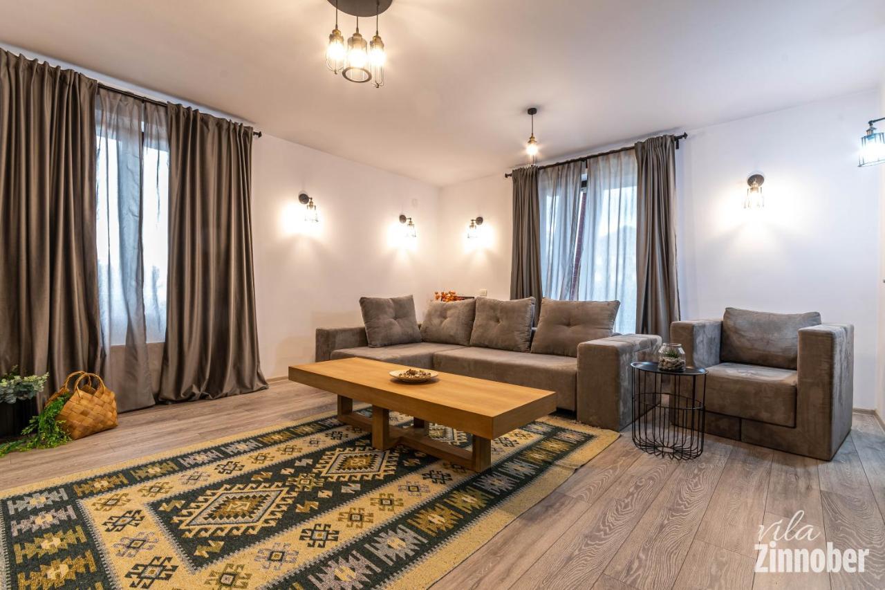 Vila Zinnober Braşov Esterno foto