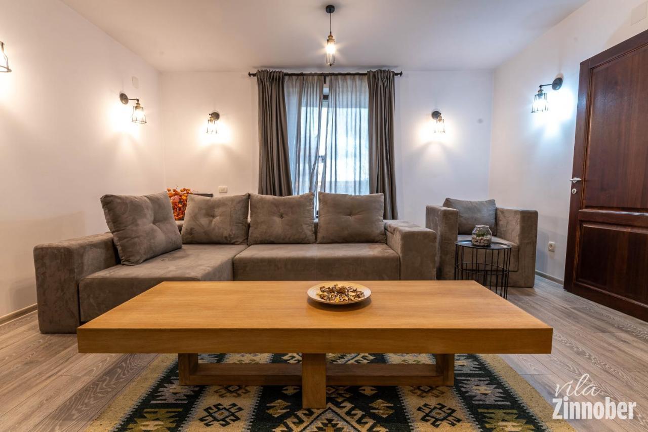 Vila Zinnober Braşov Esterno foto