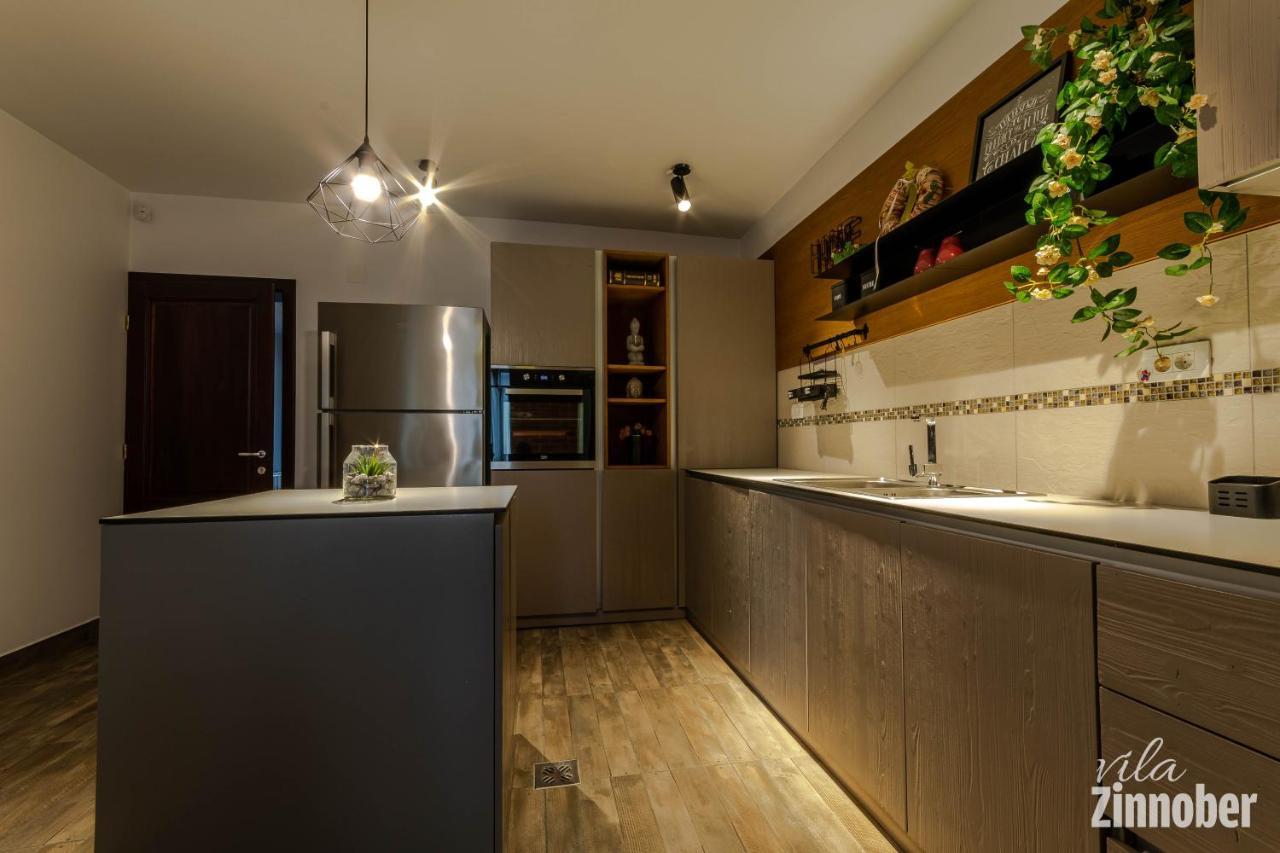 Vila Zinnober Braşov Esterno foto