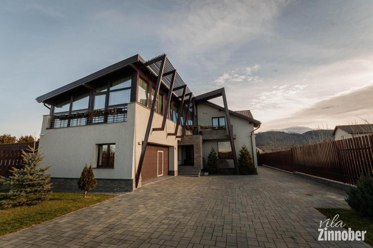 Vila Zinnober Braşov Esterno foto