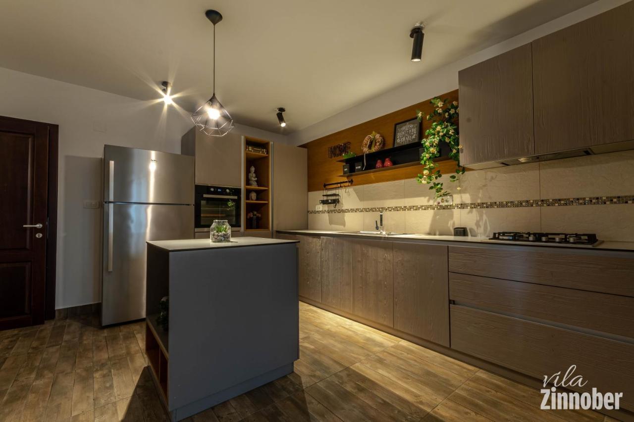 Vila Zinnober Braşov Esterno foto