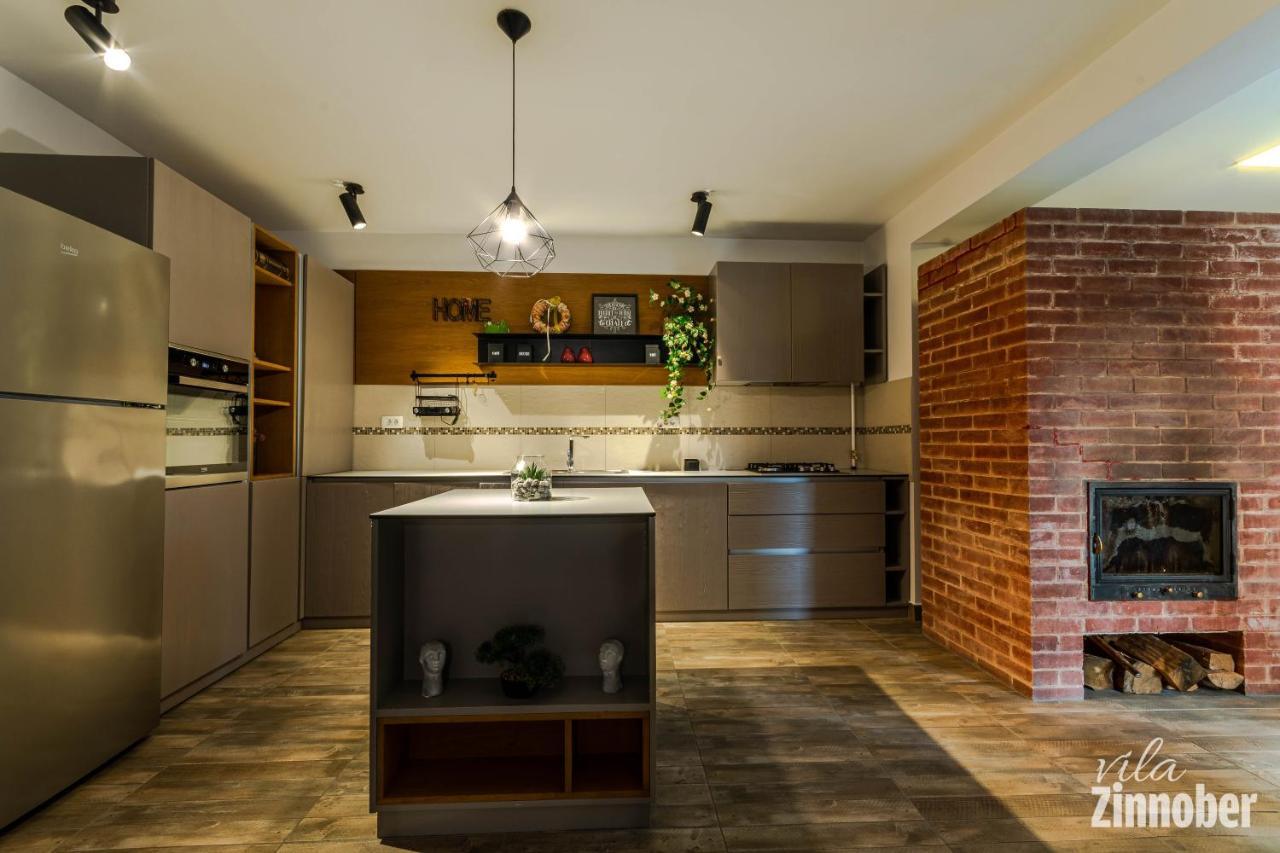 Vila Zinnober Braşov Esterno foto