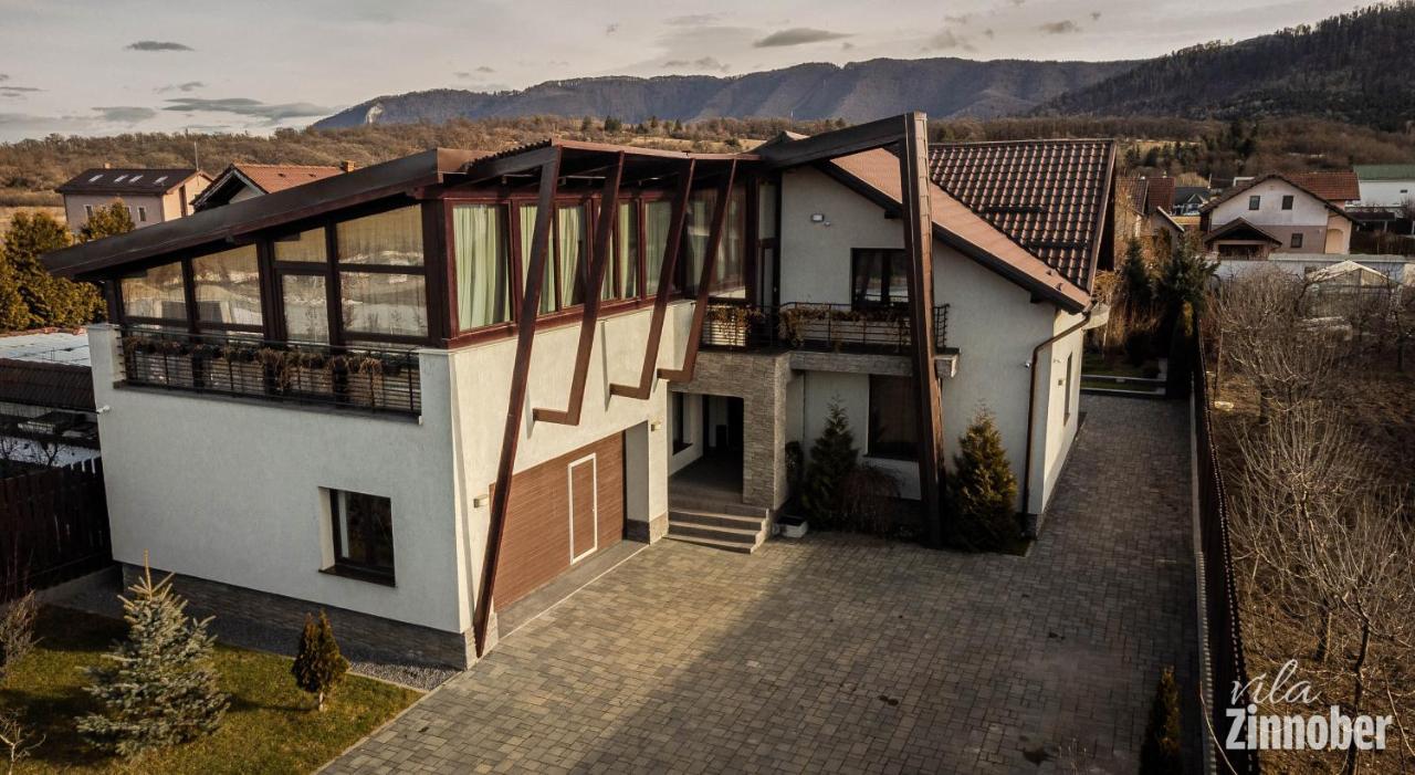 Vila Zinnober Braşov Esterno foto
