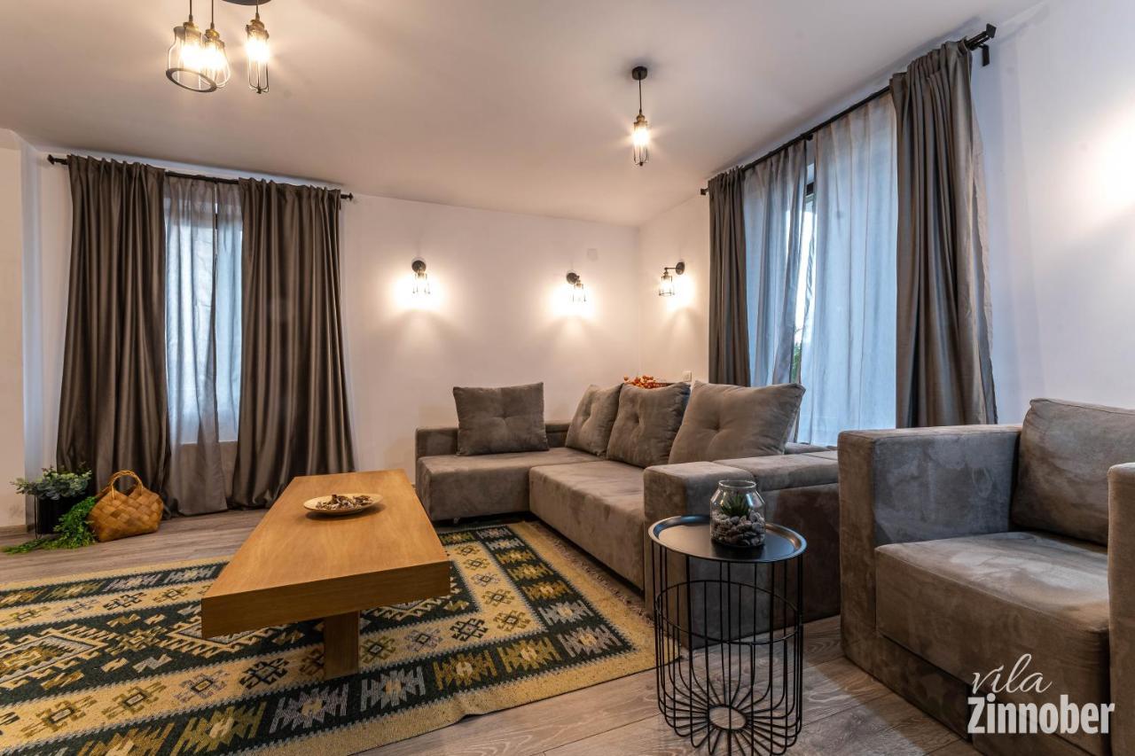 Vila Zinnober Braşov Esterno foto