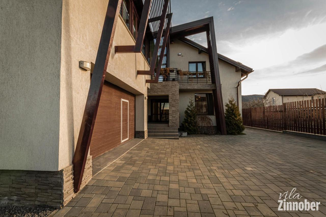 Vila Zinnober Braşov Esterno foto