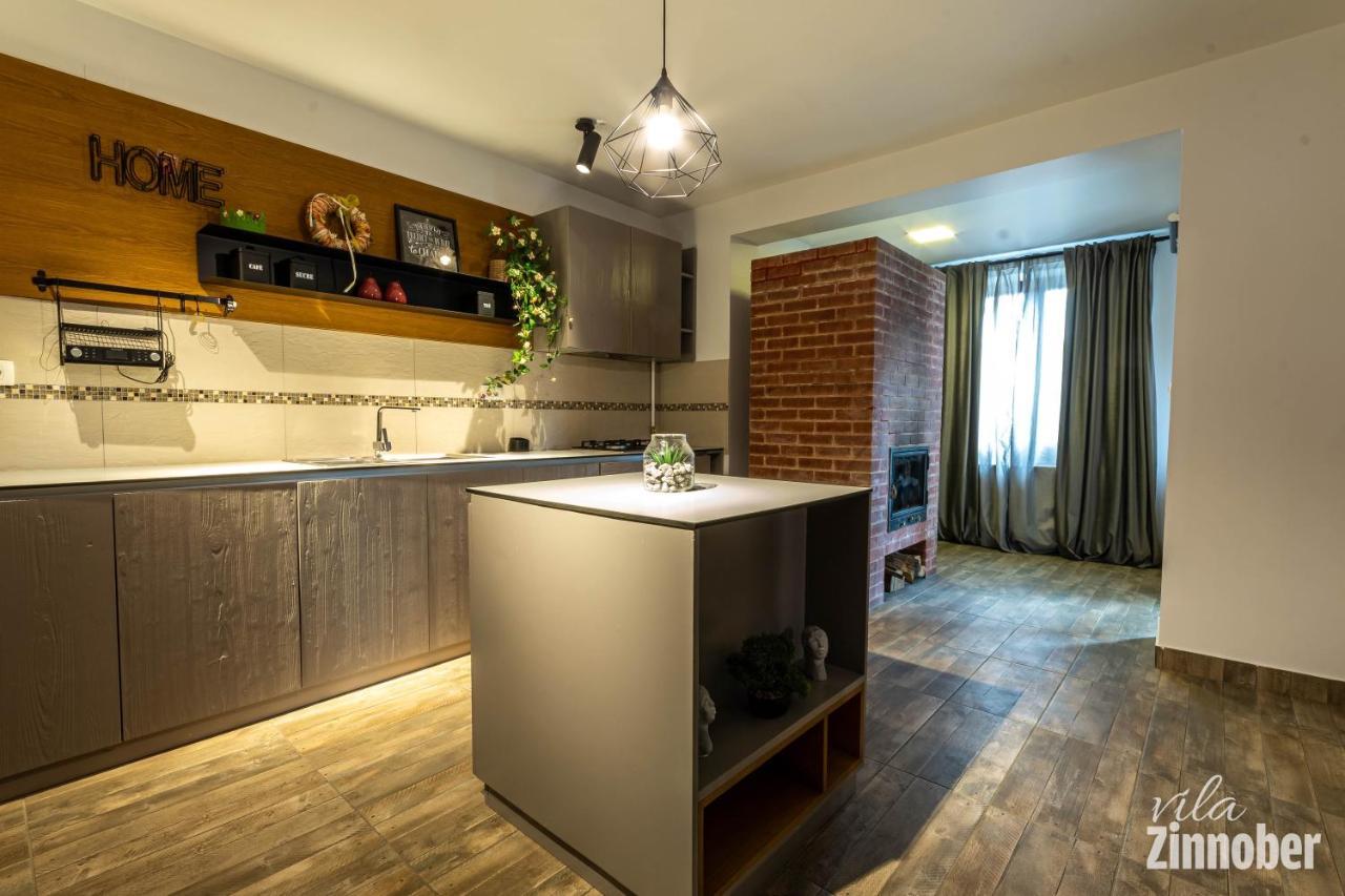 Vila Zinnober Braşov Esterno foto